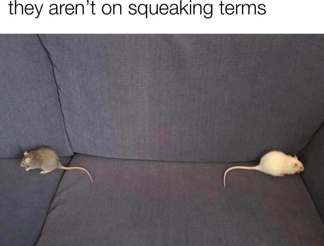 t on squeaking terms