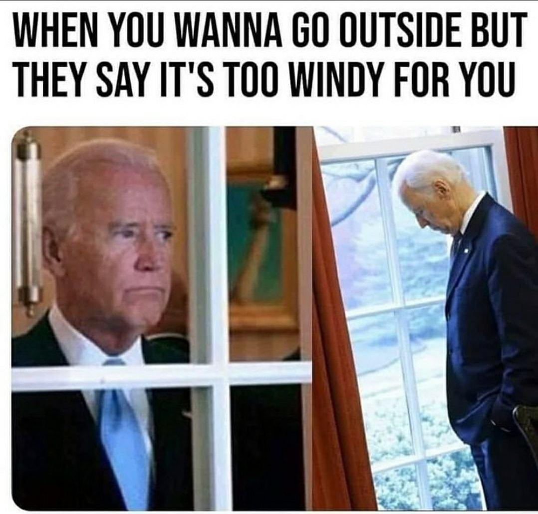 WHEN YOU WANNA GO OUTSIDE BUT THEY SAY ITS TOO WINDY FOR YOU