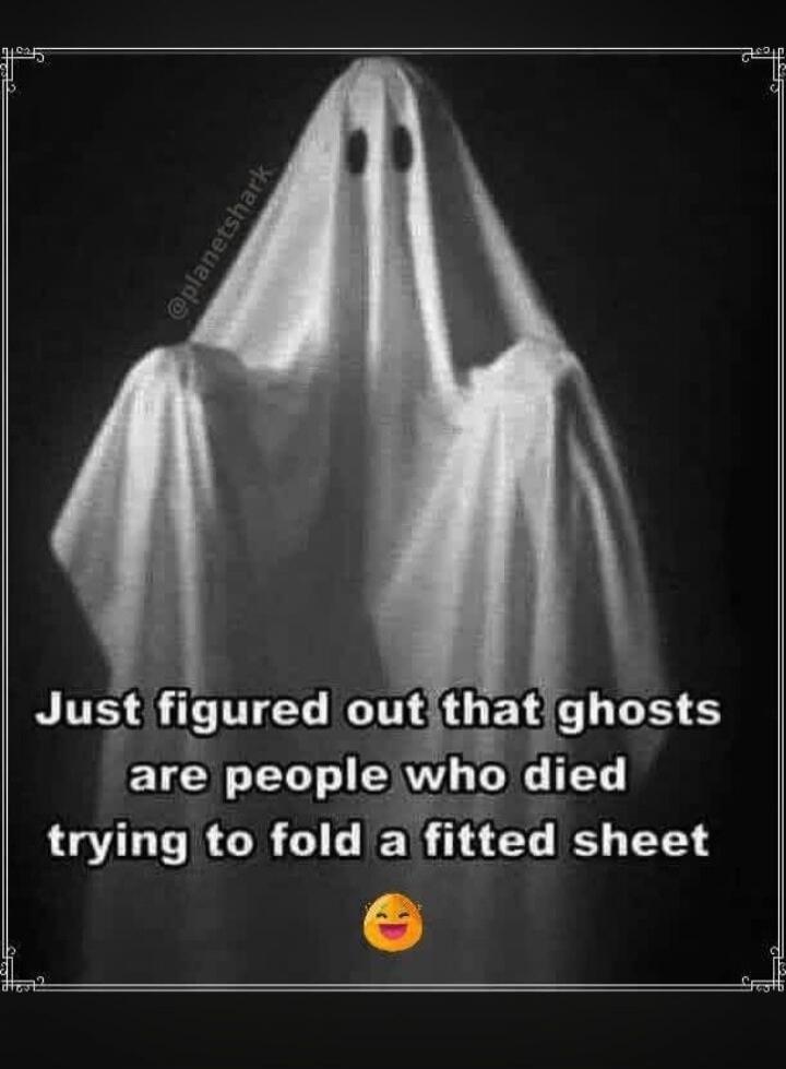 Just figured out that ghosts are people who died trying to fold a fitted sheet 😂 @planetshark
