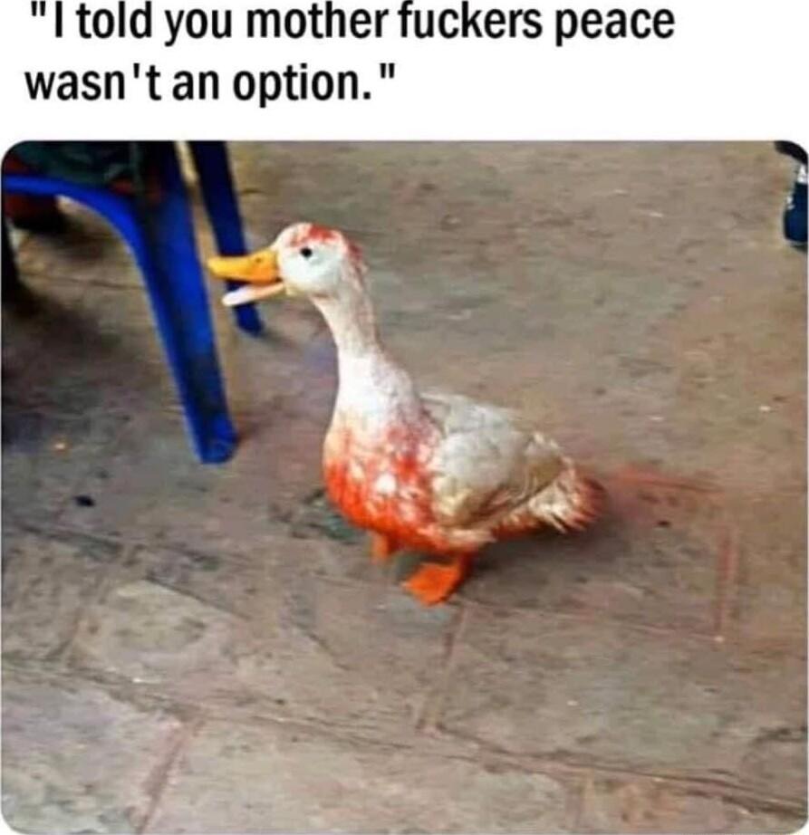 told you mother fuckers peace wasnt an option