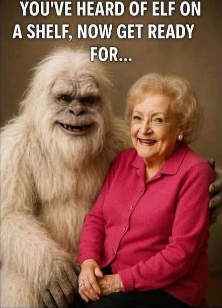 YOU'VE HEARD OF ELF ON A SHELF, NOW GET READY FOR...