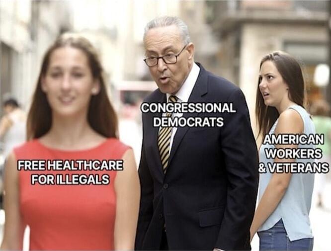 CONGRESSIONAL DEMOCRATS FREE HEALTHCARE FOR ILLEGALS AMERICAN WORKERS & VETERANS