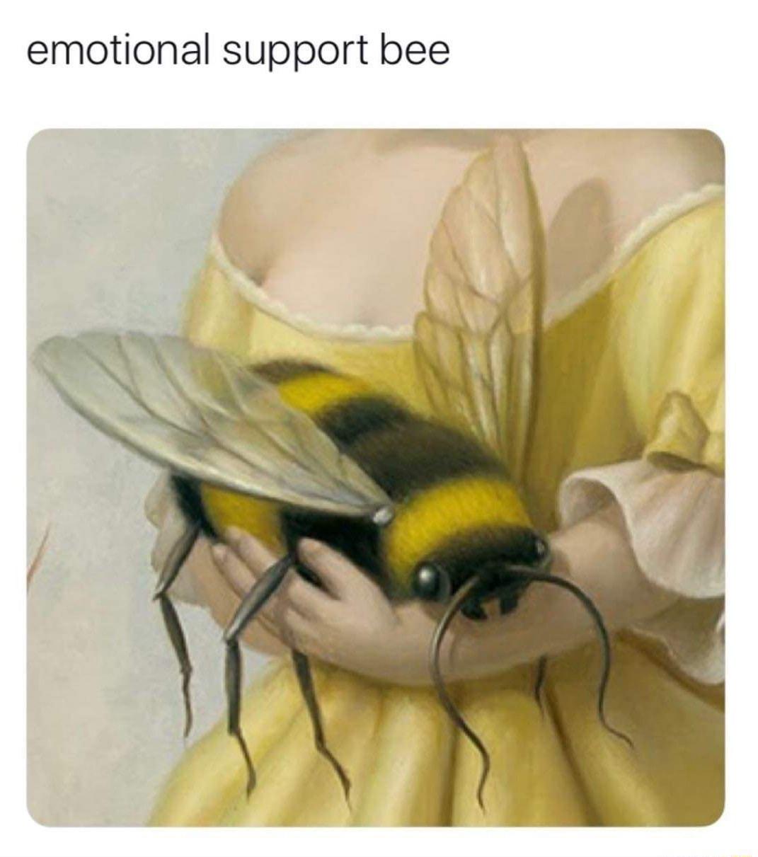 emotional support bee