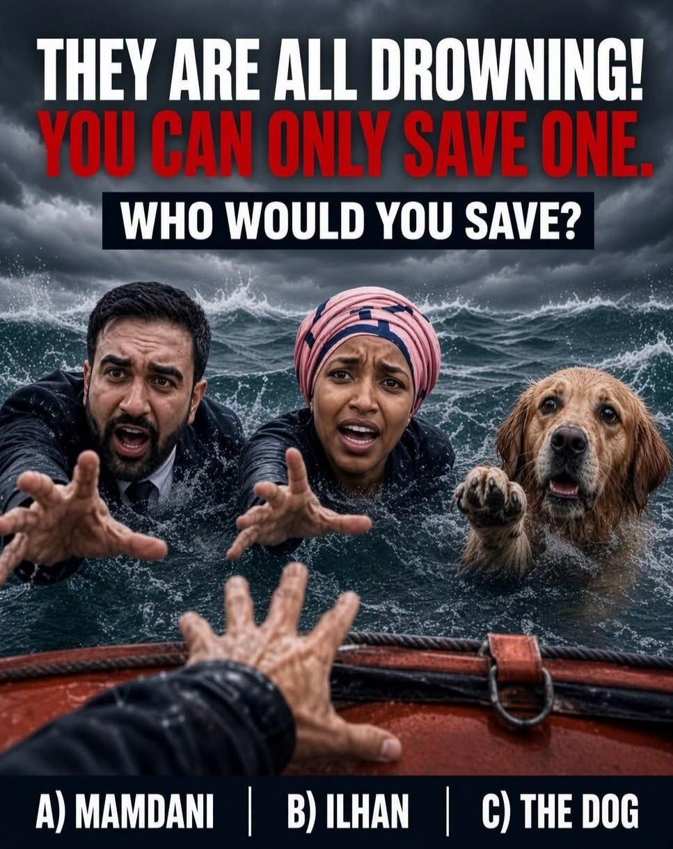 THEY ARE ALL DROWNING! YOU CAN ONLY SAVE ONE. WHO WOULD YOU SAVE? A) MAMDANI | B) ILHAN | C) THE DOG
