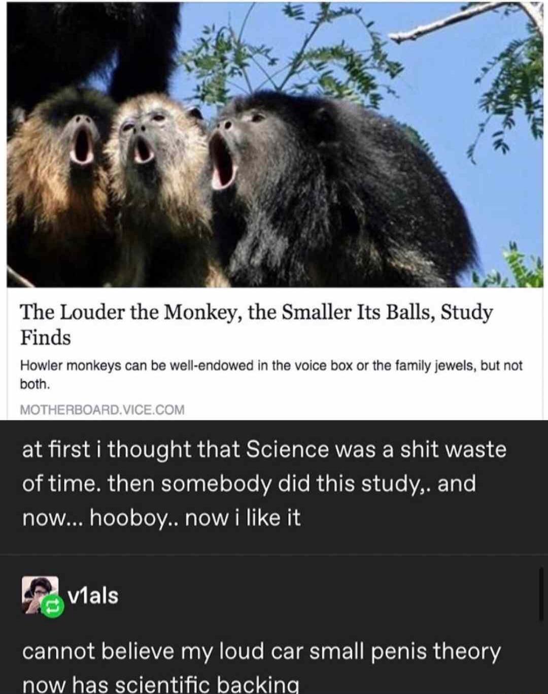 The Louder the Monkey the Smaller Its Balls Study Finds 7 be well endowed n the voice box or the familyjewels but not IR RGeS GEIRSIU L EAE R T AVER R 3 a 0 T LT T oToTe e T R TR Vo VANE Ty o now hooboy now i like it vials cannot believe my loud car small penis theory now has scientific backina