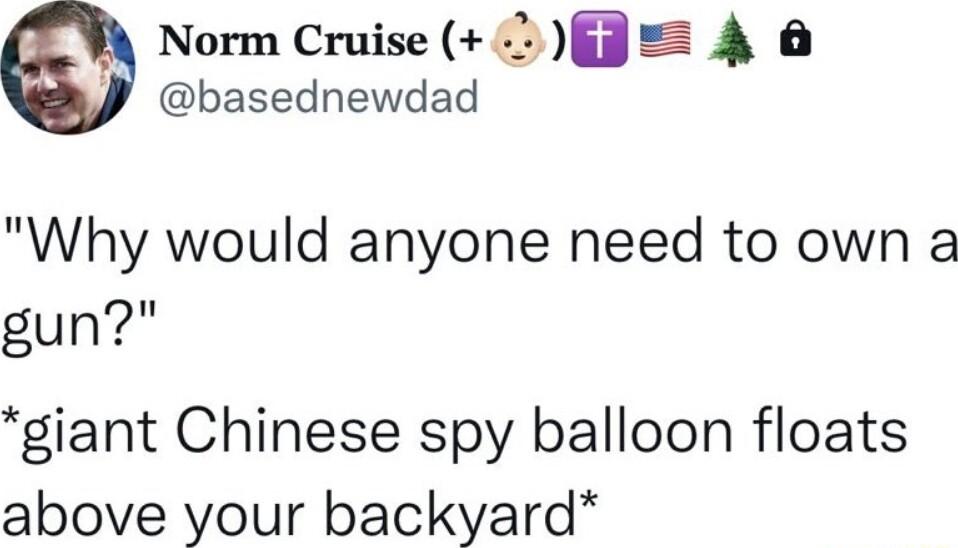 Norm Cruise a basednewdad Why would anyone need to own a gun giant Chinese spy balloon floats above your backyard