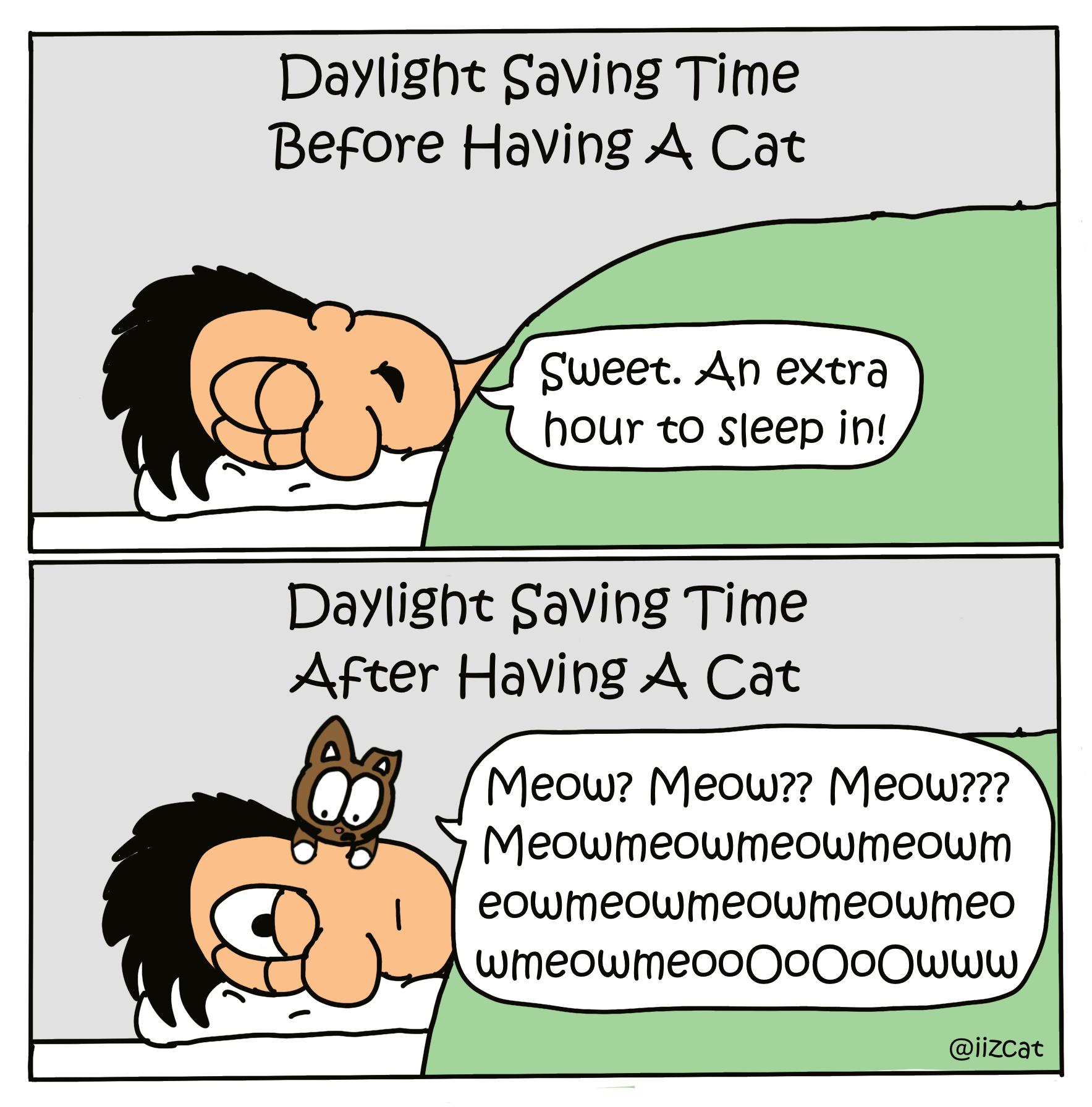 Daylight Saving Time Before Having A Cat Daylight Saving Time After Having A Cat Meow Meow Meow Meowmeowmeowmeowm eowmeowmeowmeowmeo wmeowmeooQoOQoOwww