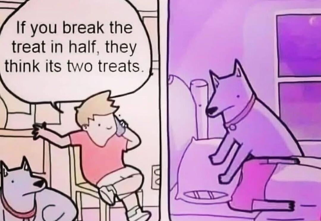Zyou break the treat in half they think its two treats