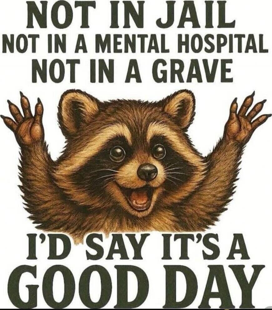 NOT IN JAIL
NOT IN A MENTAL HOSPITAL
NOT IN A GRAVE
I'D SAY IT'S A GOOD DAY