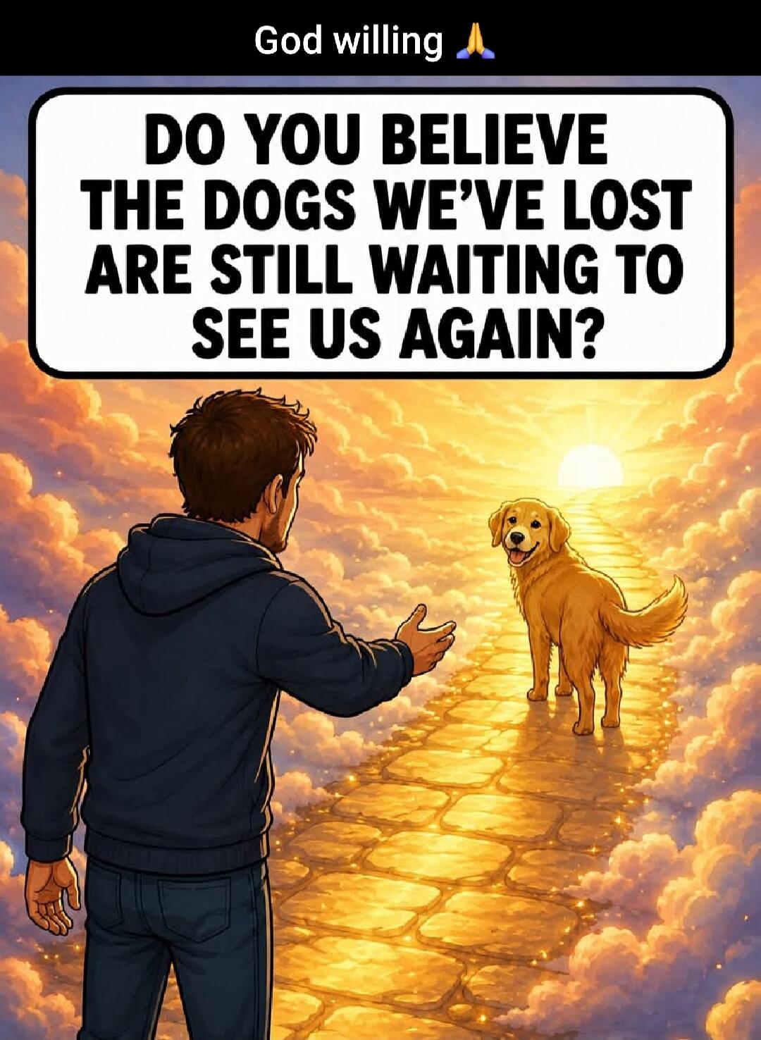 God willing 🙏 DO YOU BELIEVE THE DOGS WE'VE LOST ARE STILL WAITING TO SEE US AGAIN?