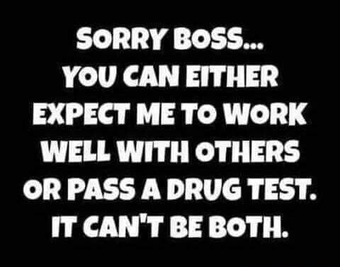 SORRY BOSS YOU CAN EITHER EXPECT ME TO WORK WELL WITH OTHERS OR PASS A DRUG TEST IT CANT BE BOTH