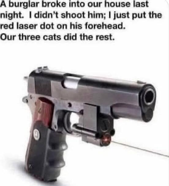 A burglar broke into our house last night. I didn’t shoot him; I just put the red laser dot on his forehead. Our three cats did the rest.