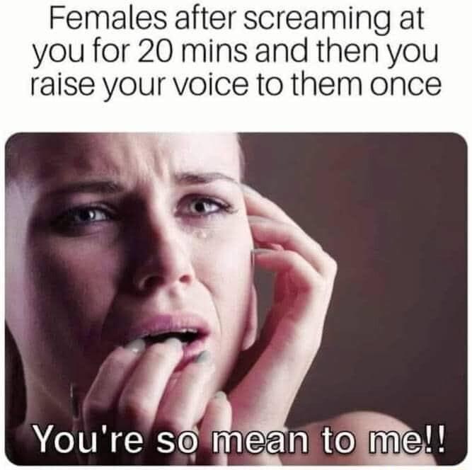 Females after screaming at you for 20 mins and then you raise your voice to them once A IIN RS ORI EE N MEH