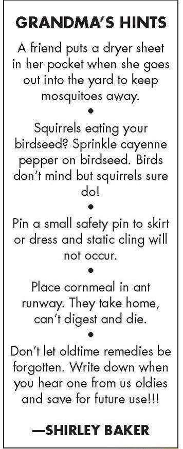 GRANDMAS HINTS A friend puts a dryer sheet in her pocket when she goes out info the yard to keep mosquitoes away Squirrels eating your birdseed Sprinkle cayenne pepper on birdseed Birds dont mind but squirrels sure do Pin a small safety pin to skirt or dress and static cling will not occur L Place cornmeal in ant runway They take home cant digest and die Dont let oldtime remedies be forgotten Writ