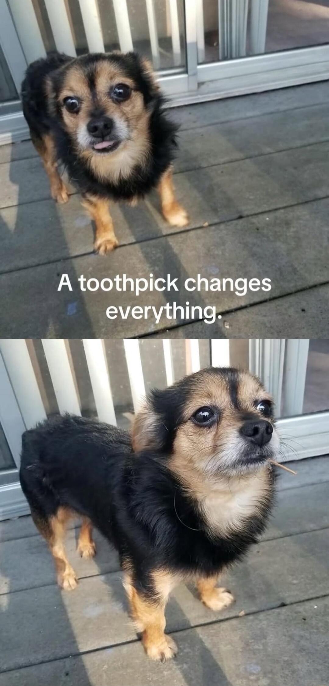 A toothpick changes everything.