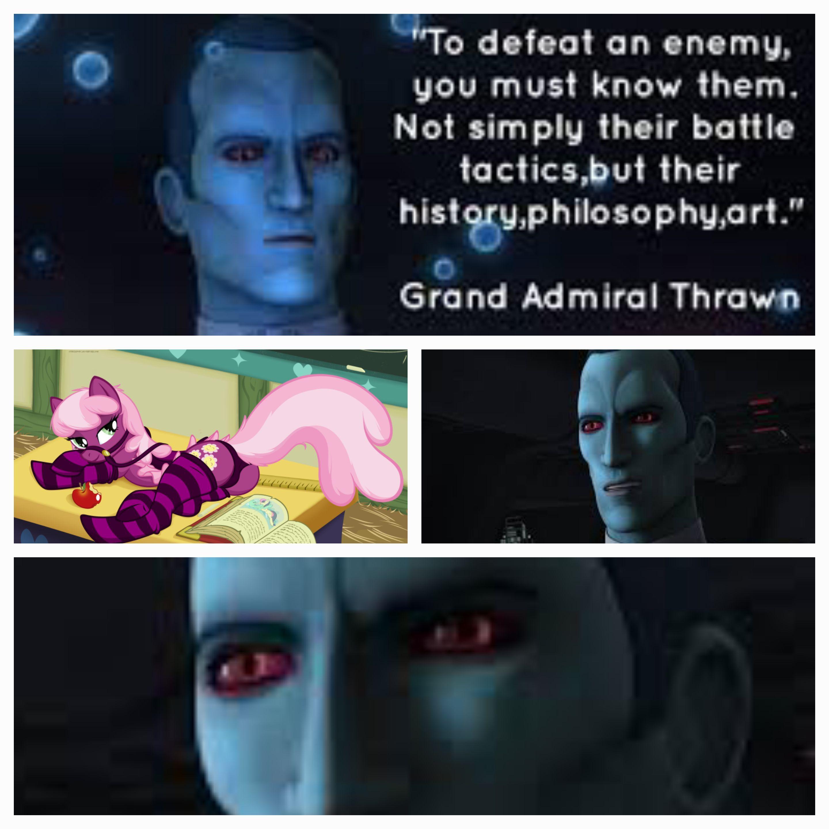 To defeat an enemy you must know them Not simply their battle ACTULER TR T g LIS ETORLIGELT1 IR T8 B Grand Admiral Thrawn