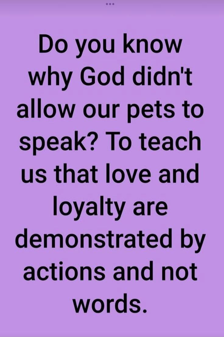 Do you know why God didn't allow our pets to speak? To teach us that love and loyalty are demonstrated by actions and not words.