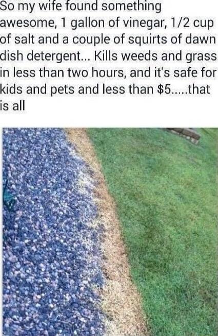 S0 my wife found something awesome 1 gallon of vinegar 12 cup of salt and a couple of squirts of dawn dish detergent Kills weeds and grass in less than two hours and its safe for