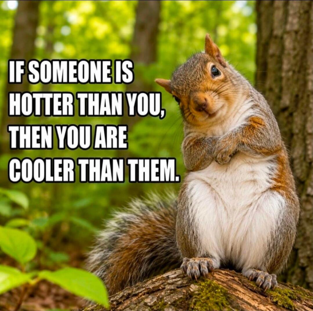 IF SOMEONE IS HOTTER THAN YOU, THEN YOU ARE COOLER THAN THEM.