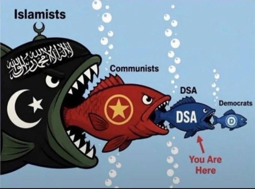 Islamists Communists DSA Democrats You Are Here