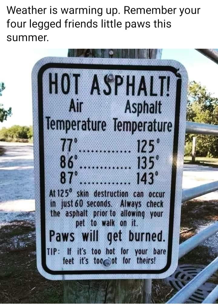 Weather is warming up Remember your four legged friends little paws this summer ERSEICHINL N N HOT ASPHALT i 1 Ar Asphalt e Temperature Temperatre B At125 skin destruction can occur in just60 seconds Always check the asphalt prior to allowing your pet to walk on it Paws will get burned TIP If its too hot for your bare feet its toogot for theirs