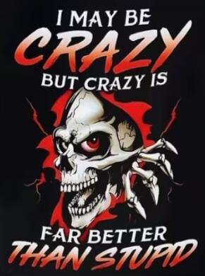 I may be crazy but crazy is far better than stupid