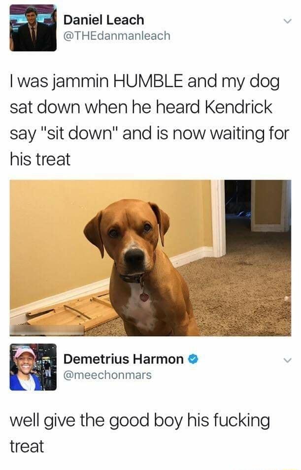 _gesl Daniel Leach THEdanmanleach was jammin HUMBLE and my dog sat down when he heard Kendrick say sit down and is now waiting for his treat Demetrius Harmon il meechonmars well give the good boy his fucking treat
