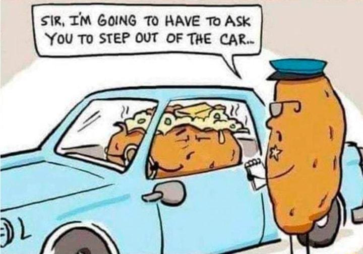 SIR TM GOING TO HAVE To ASk YOU To STEP OUT OF THE CAR