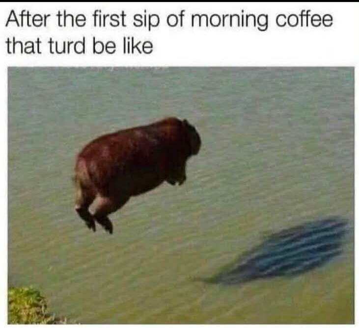 After the first sip of morning coffee that turd be like