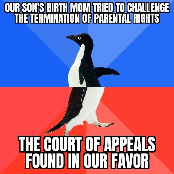 OURSONSIBIRTHMOMITRIEDITOCHALLENGE THETERMINATION OFPARENTALRIGHTS A THECOURT OFAPPEALS FOUNDIINOURFAVOR