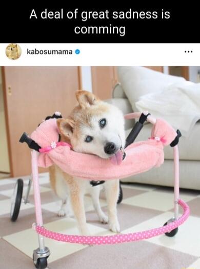 A deal of great sadness is eleTpalnallge 71 kabosumama e C S L l kr or 4