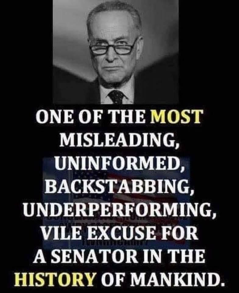 e e s ONE OF THE MOST MISLEADING UNINFORMED BACKSTABBING UNDERPERFORMING VILE EXCUSE FOR A SENATOR IN THE HISTORY OF MANKIND