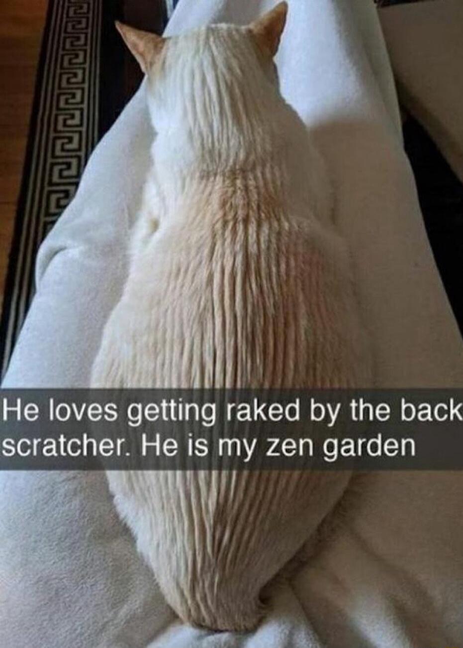 He loves getting raked by the back scratcher He is my zen garden