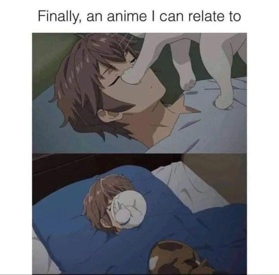 Finally an anime can relate to