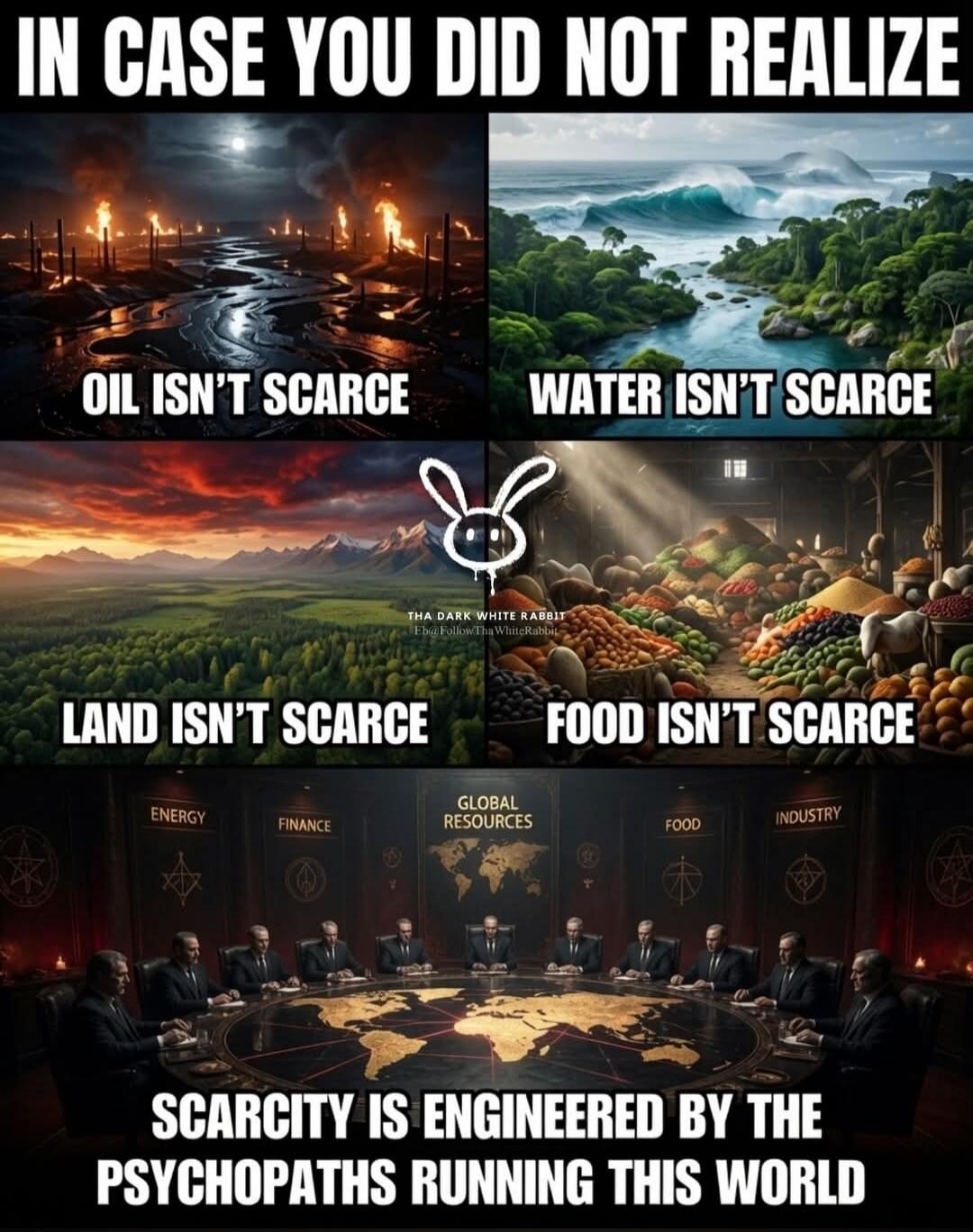 IN CASE YOU DID NOT REALIZE
OIL ISN'T SCARCE
WATER ISN'T SCARCE
LAND ISN'T SCARCE
FOOD ISN'T SCARCE
THA DARK WHITE RABBIT
Fb@FollowThaWhiteRabbit
ENERGY
FINANCE
GLOBAL RESOURCES
FOOD
INDUSTRY
SCARCITY IS ENGINEERED BY THE PSYCHOPATHS RUNNING THIS WORLD
