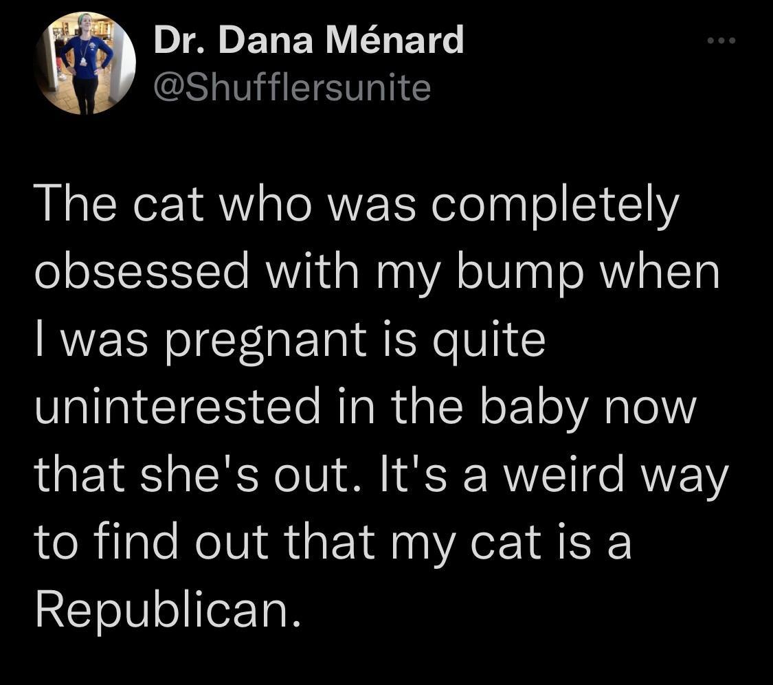T ELER N ETS ShGHEIETRIG The cat who was completely obsessed with my bump when was pregnant is quite uninterested in the baby now that shes out Its a weird way to find out that my cat is a Republican