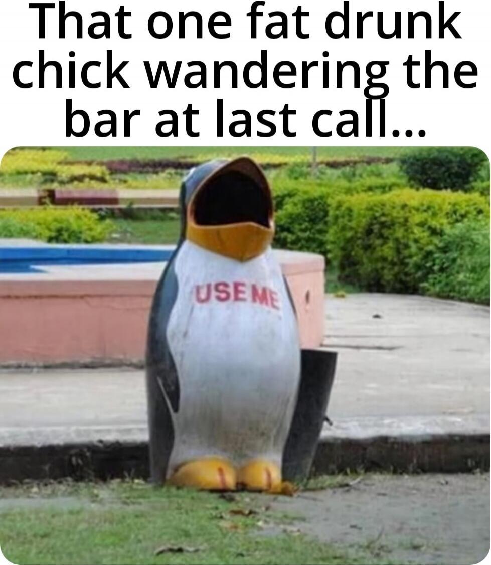 That one fat drunk chick wandering the bar at last call... USE ME