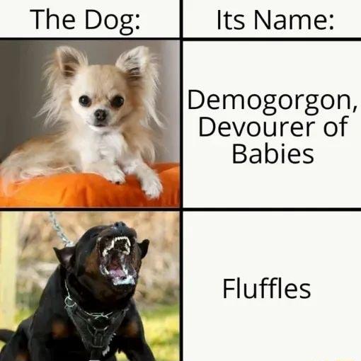 i Demogorgon Devourer of Babies o Fluffles