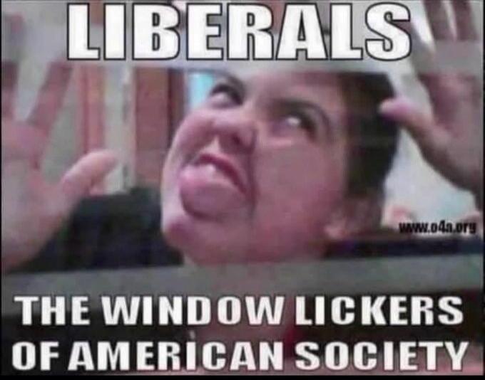 LIBERALS
THE WINDOW LICKERS OF AMERICAN SOCIETY