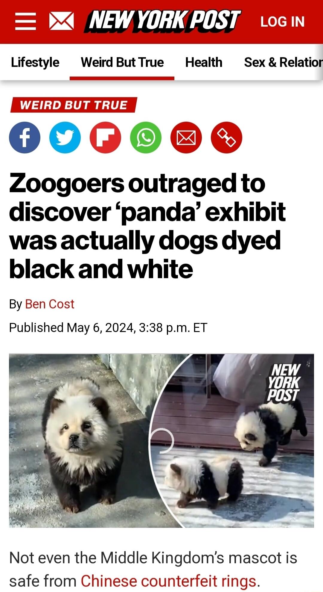 4 NEWYORK POST vocin Lifestyle Weird ButTrue Health Sex Relatior 000606 Zoogoers outraged to discover panda exhibit was actually dogs dyed black and white By Ben Cost Published May 6 2024 338 pm ET Not even the Middle Kingdoms mascot is safe from Chinese counterfeit rings