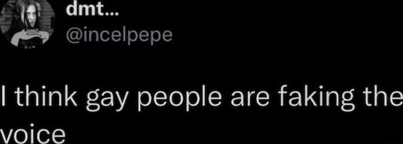 15 o111 9 9 incelpepe think gay people are faking the voice
