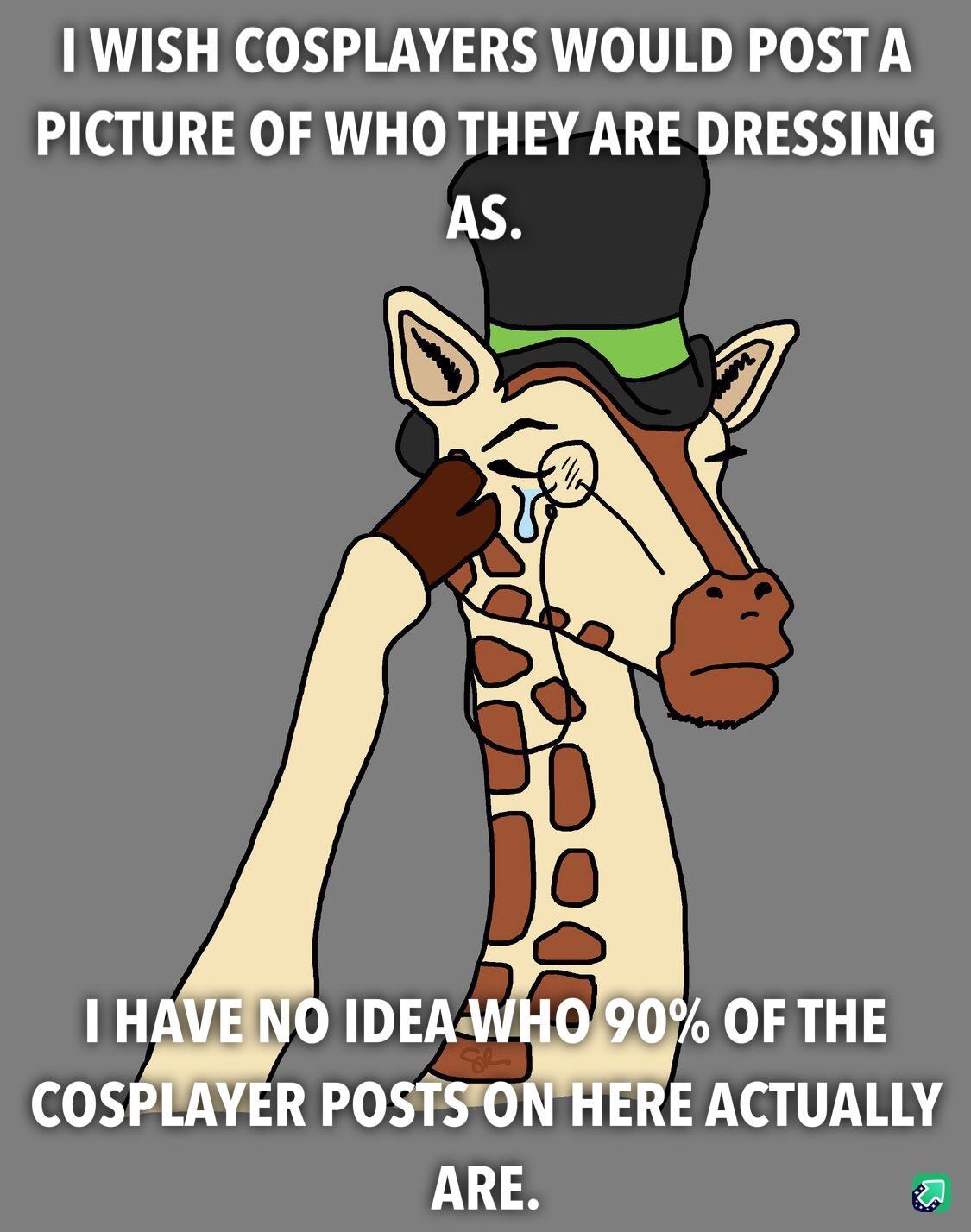 WISH COSPLAYERS WOULD POSTA PICTURE OF WHO THEY ARE DRESSING AS HAVENO IDEA WHO90 OF THE COSPIAYER POSTSONHERE ACTUALLY 13 a