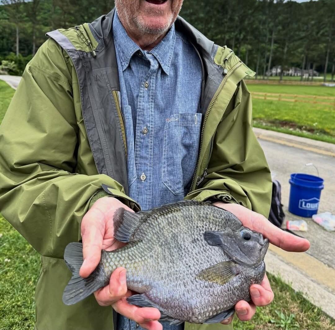 A person holding a large fish. In the background, there is a blue bucket with 'Lowe's' written on it.