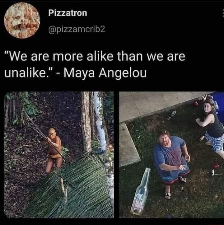 Pizzatron pizzamcrib2 We are more alike than we are unalike Maya Angelou