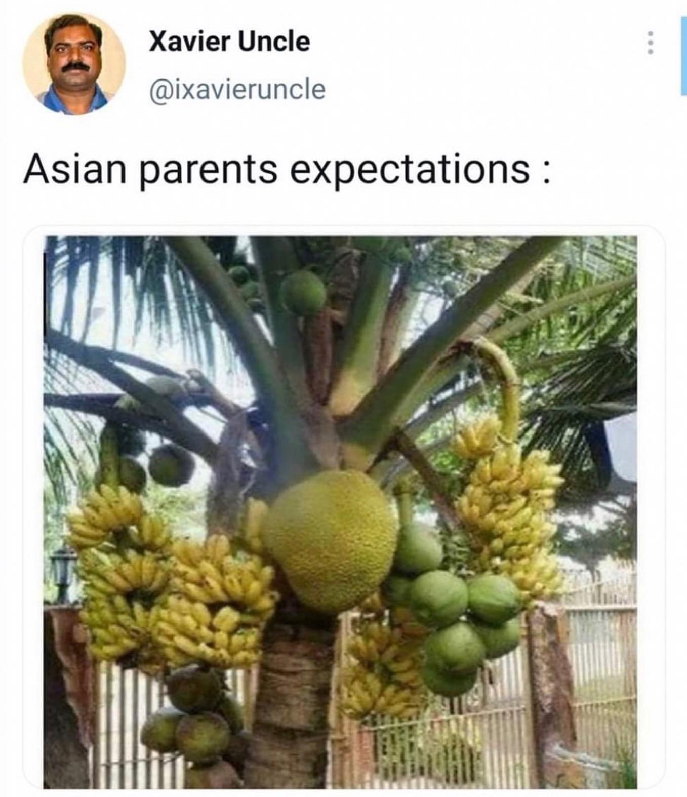 Xavier Uncle ixavieruncle Asian parents expectations