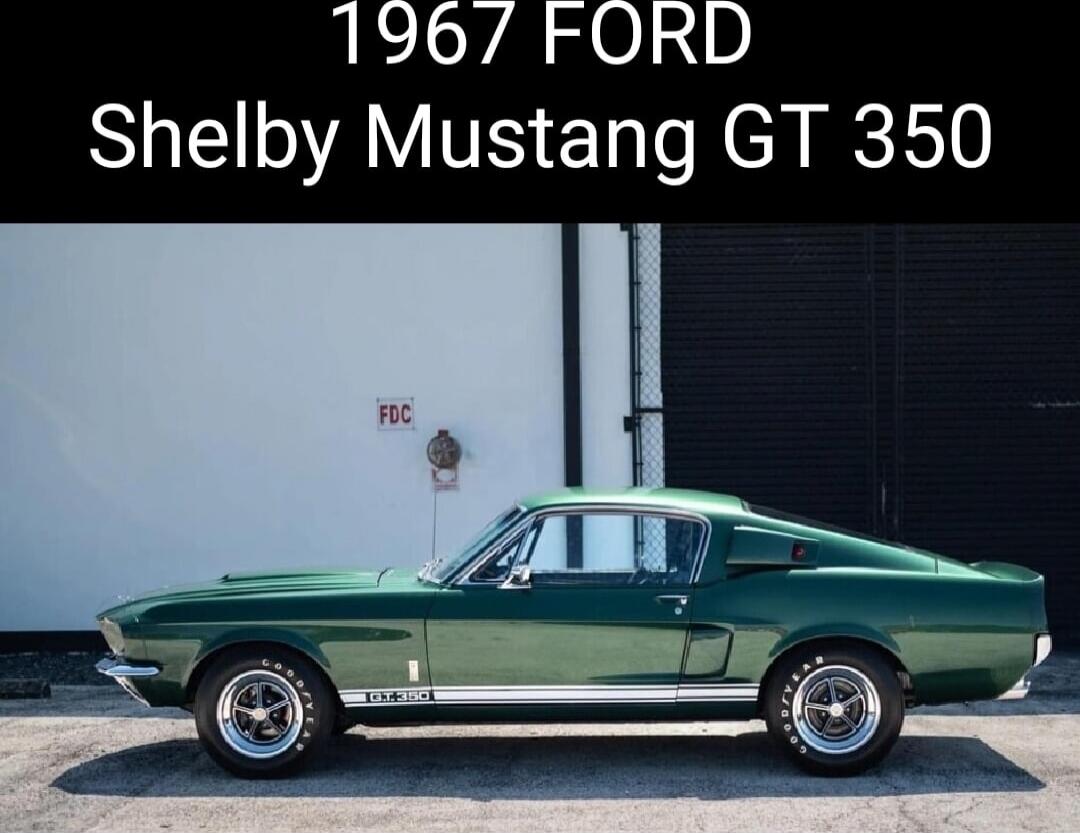 1967 FORD Shelby Mustang GT 350