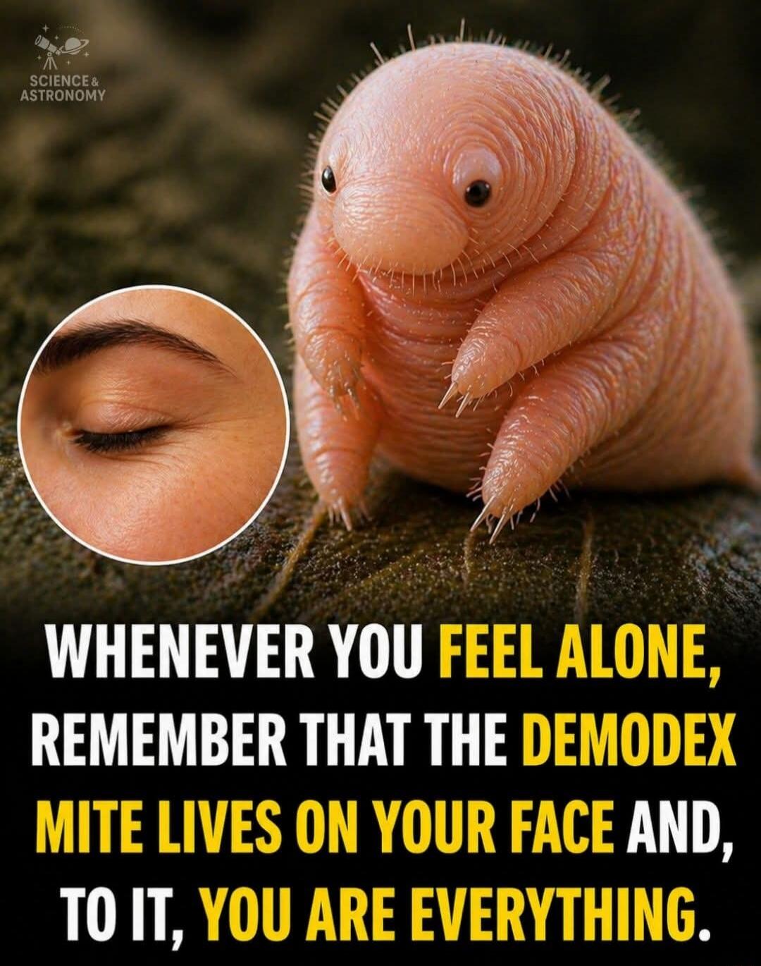 SCIENCE & ASTRONOMY WHENEVER YOU FEEL ALONE, REMEMBER THAT THE DEMODEX MITE LIVES ON YOUR FACE AND, TO IT, YOU ARE EVERYTHING.