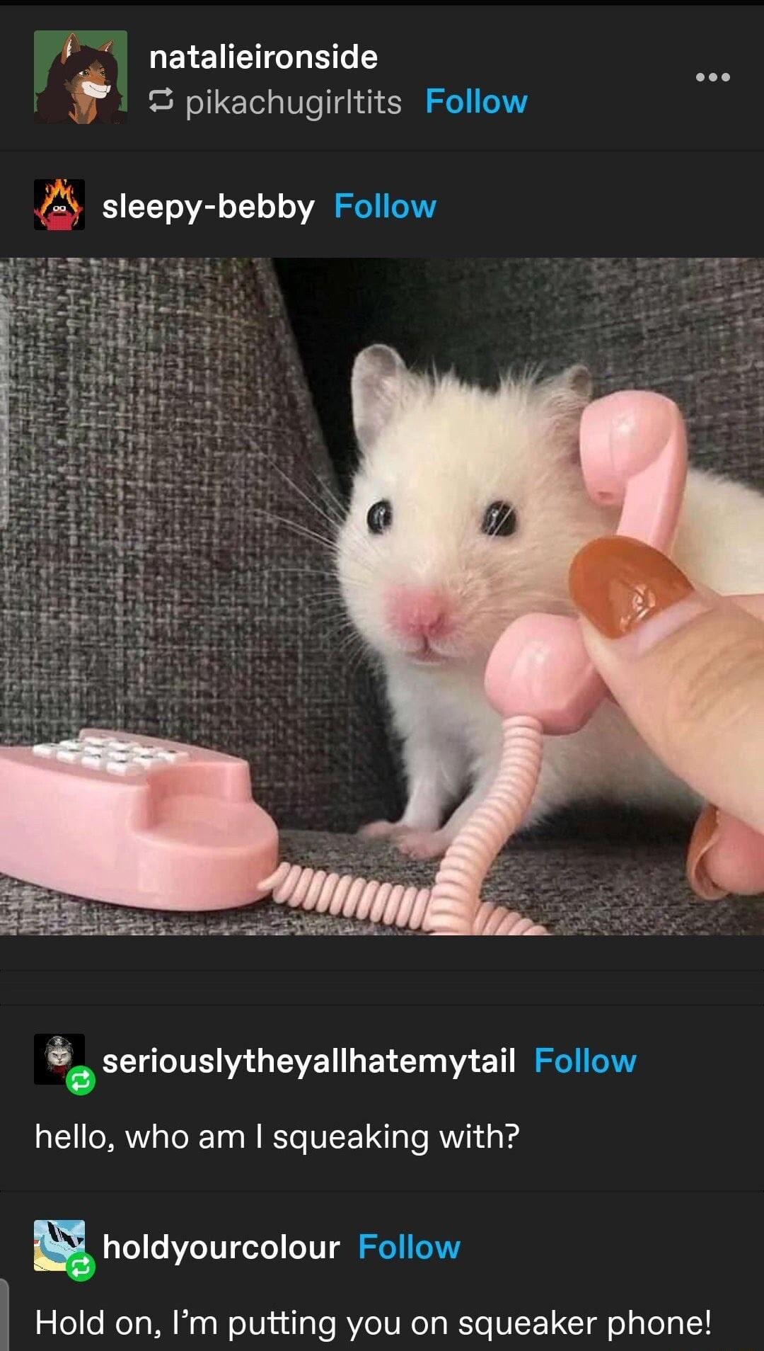 natalieironside pikachugirltits Follow sleepy bebby Follow seriouslytheyallhatemytail Follow hello who am squeaking with holdyourcolour Follow w Hold on Im putting you on squeaker phone