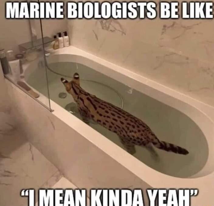 MARINE EthISTS BELIKE IMEAN KINDA YEAHX