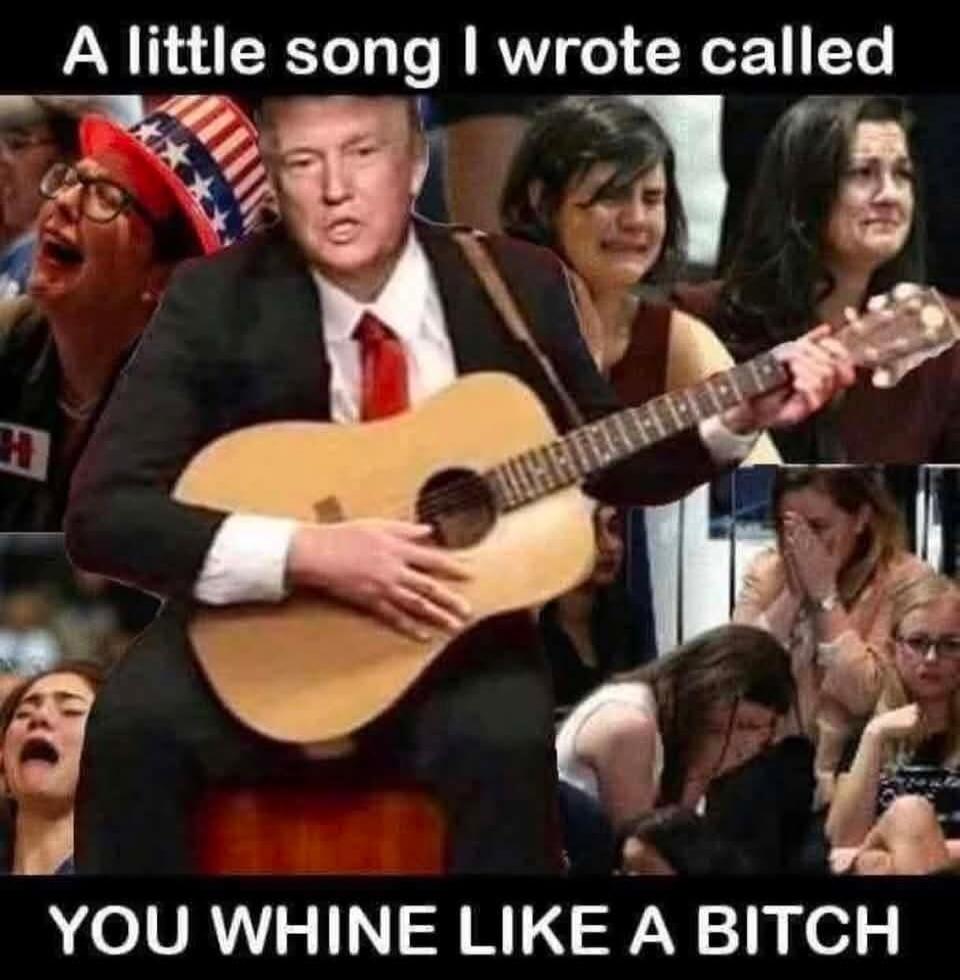 A little song I wrote called YOU WHINE LIKE A BITCH